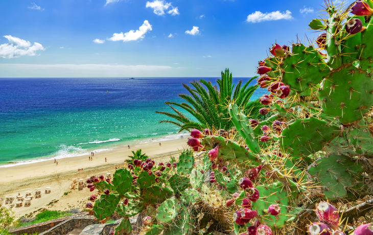 Strand von Esquinzo, Fuerteventura