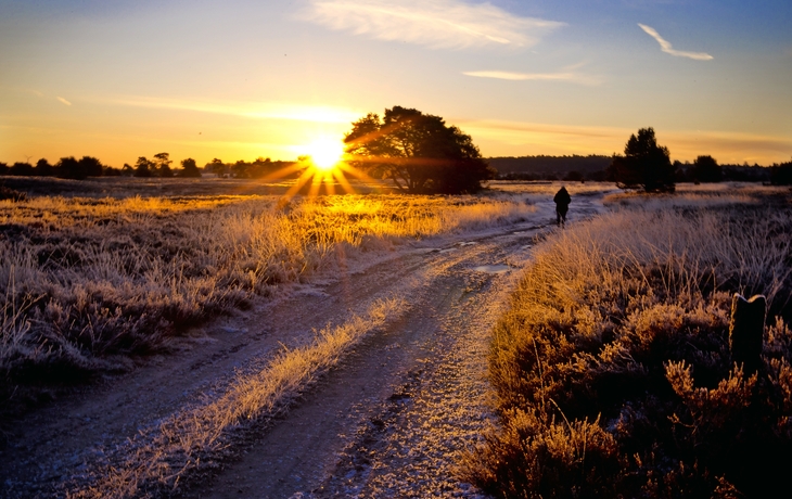 Lüneburger Heide im Winter