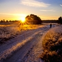 Lüneburger Heide im Winter