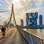 Erasmusbrücke in Rotterdam