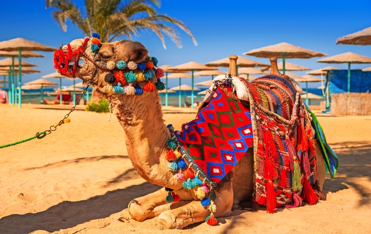 Strand von Hurghada