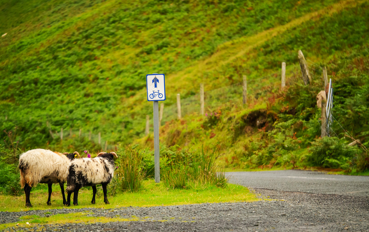 mit dem Rad durch den Connemara-Nationalpark in Irland