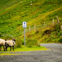 mit dem Rad durch den Connemara-Nationalpark in Irland