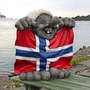 Norwegen Flagge