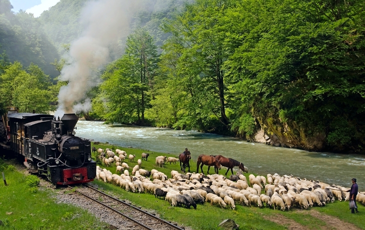 Dampfbahn Rumänien