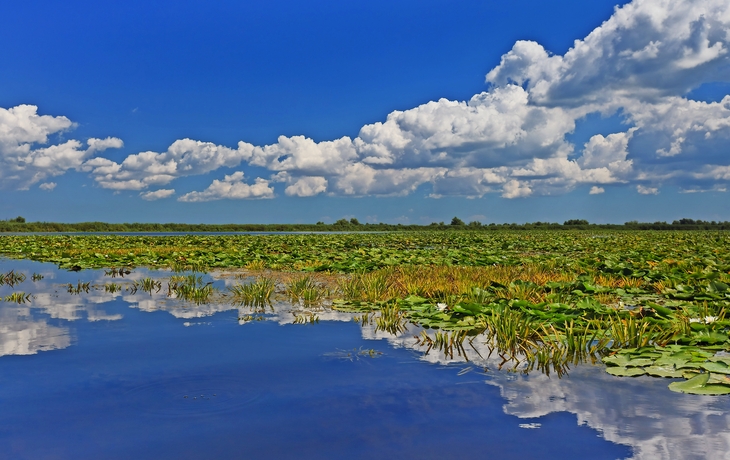 Donau-Delta in Rumänien