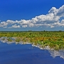 Donau-Delta in Rumänien