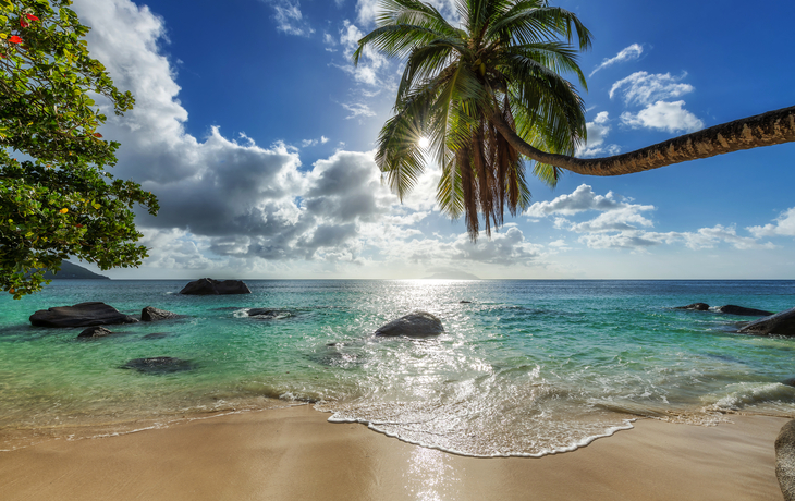 Traumstrand in Martinique