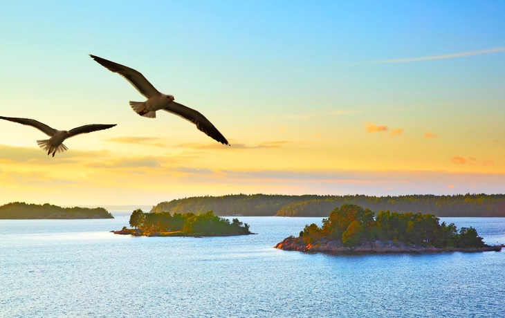 Wasserlandschaft mit fliegenden Möwen