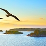 Wasserlandschaft mit fliegenden Möwen