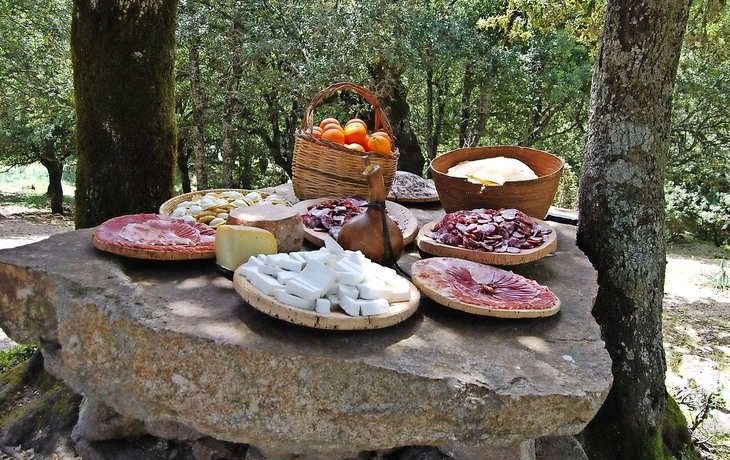 Picknick bei Hirten