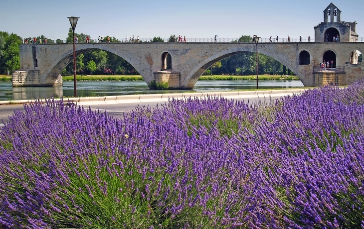 Pont Saint-Bénézet oder Pont d?Avignon in Avignon, Frankreich