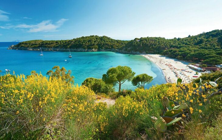 Fetovaia beach, Elba island. Italy.