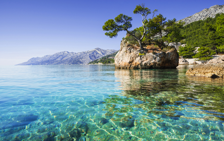 berühmter Felsen mit Kiefern in Brela in Kroatien