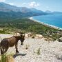 Landschaft in Albanien