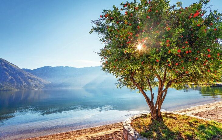 Montenegro - Kotor