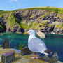 Küste von Port Issac in Cornwall, Vereinigtes Königreich