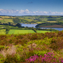 Wimbleball Lake auf Exmoor in Somerset, England