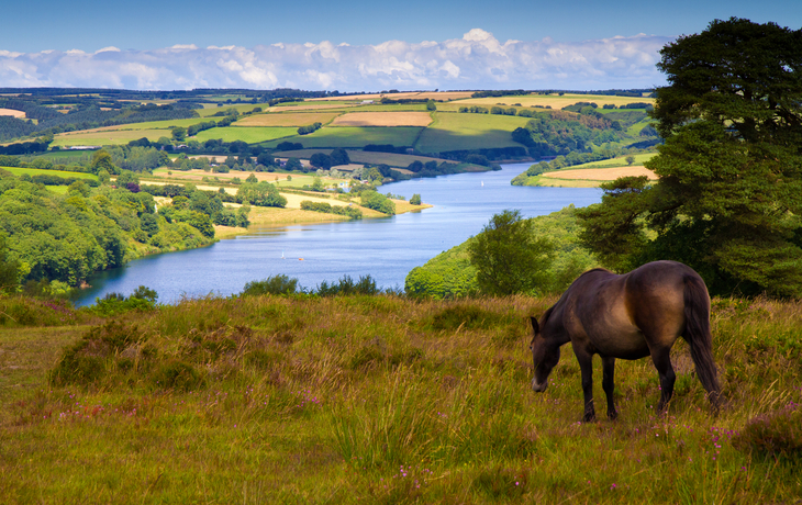 Wimbleball Lake auf Exmoor in Somerset, England