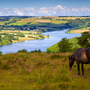 Wimbleball Lake auf Exmoor in Somerset, England