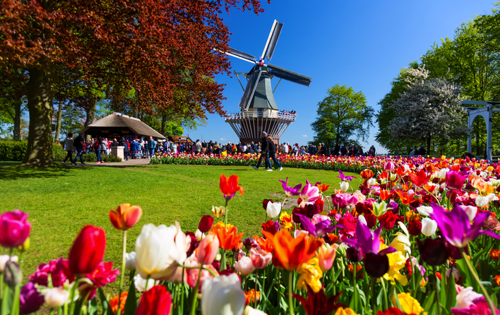 Keukenhof in den Niederlanden