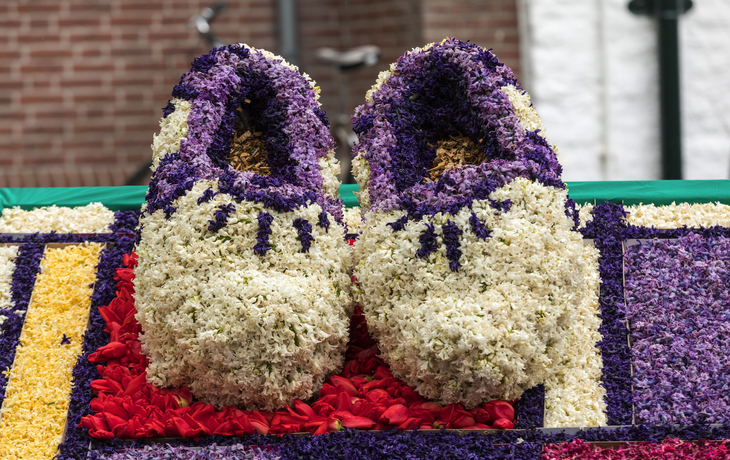 Blumenkorso von Noordwijk nach Haarlem in den Niederlanden