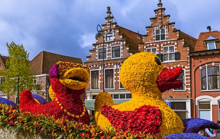 Blumenparade von Noordwijk nach Haarlem, Niederlande