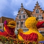 Blumenparade von Noordwijk nach Haarlem, Niederlande