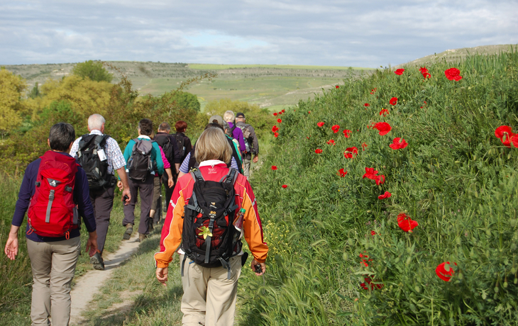 Wandergruppe auf dem Jakobsweg