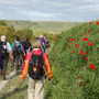 Wandergruppe auf dem Jakobsweg