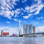 Erasmusbrücke (Schwanenbrücke) in Rotterdam