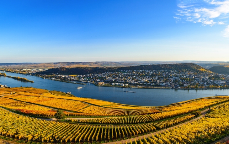 Rüdesheim am Rhein im Herbst