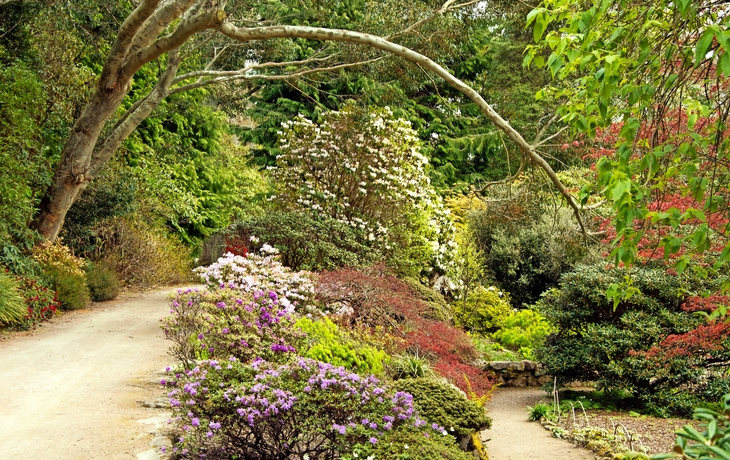 Inverewe Garden