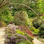 Inverewe Garden