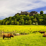 Stirling Castle in Schottland