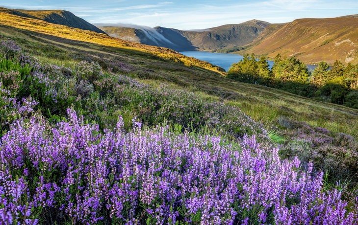 Cairngorms-Nationalpark