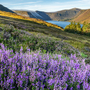 Cairngorms-Nationalpark