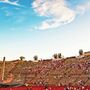 people waiting for the opening  in the arena of verona