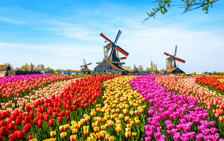 Zaanse Schans in den Niederlanden