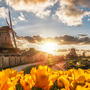 Zaanse Schans in den Niederlanden