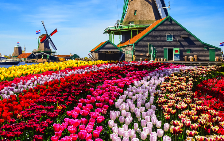 Zaanse Schans in den Niederlanden