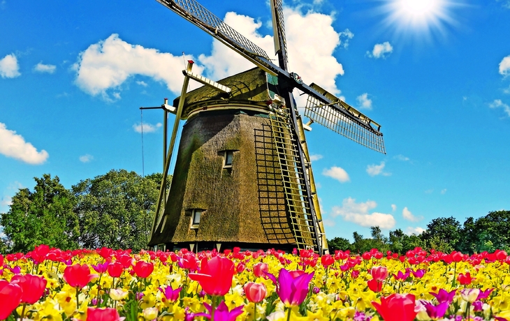 Zaanse Schans in den Niederlanden