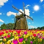 Zaanse Schans in den Niederlanden