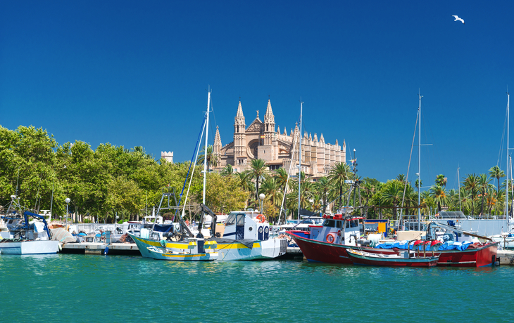 Blick auf Palma de Mallorca mit der Kathedrale La Seu und dem Fischerhafen 