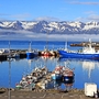 Der malerische Hafen von Akureyri (Island) mit schneebedeckten Bergen im Hintergrund