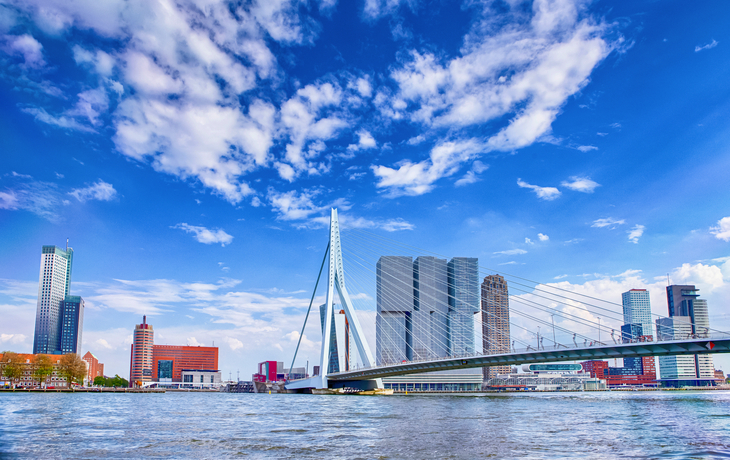 Erasmusbrücke (Schwanenbrücke) in Rotterdam