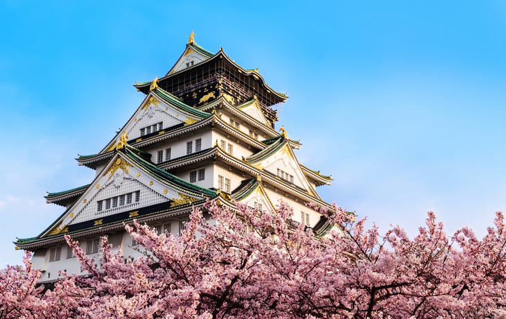 Burg von Osaka mit Kirschblüte