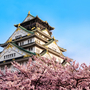 Burg von Osaka mit Kirschblüte