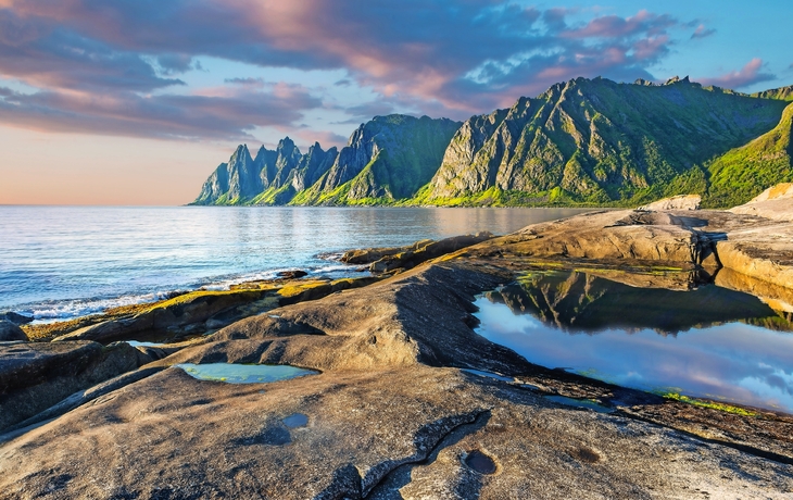 Rock Davils Kiefer. Norwey, Insel Senja